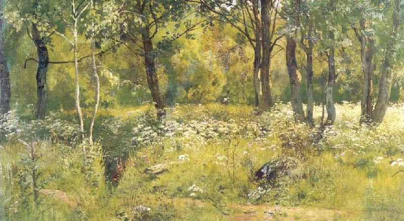 Ivan Shishkin Grassy Glades of the Forest Germany oil painting art
